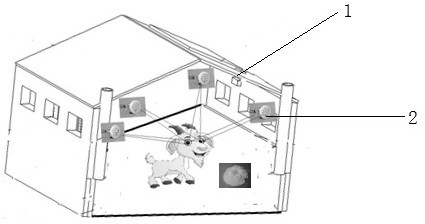 Method for promoting synchronous delinting of cashmere goats