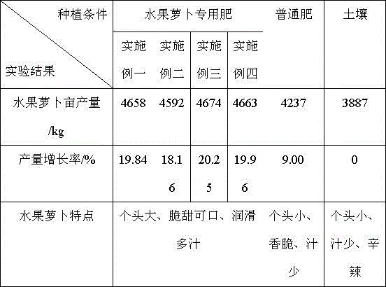 Formula of fertilizer special for fruit radishes