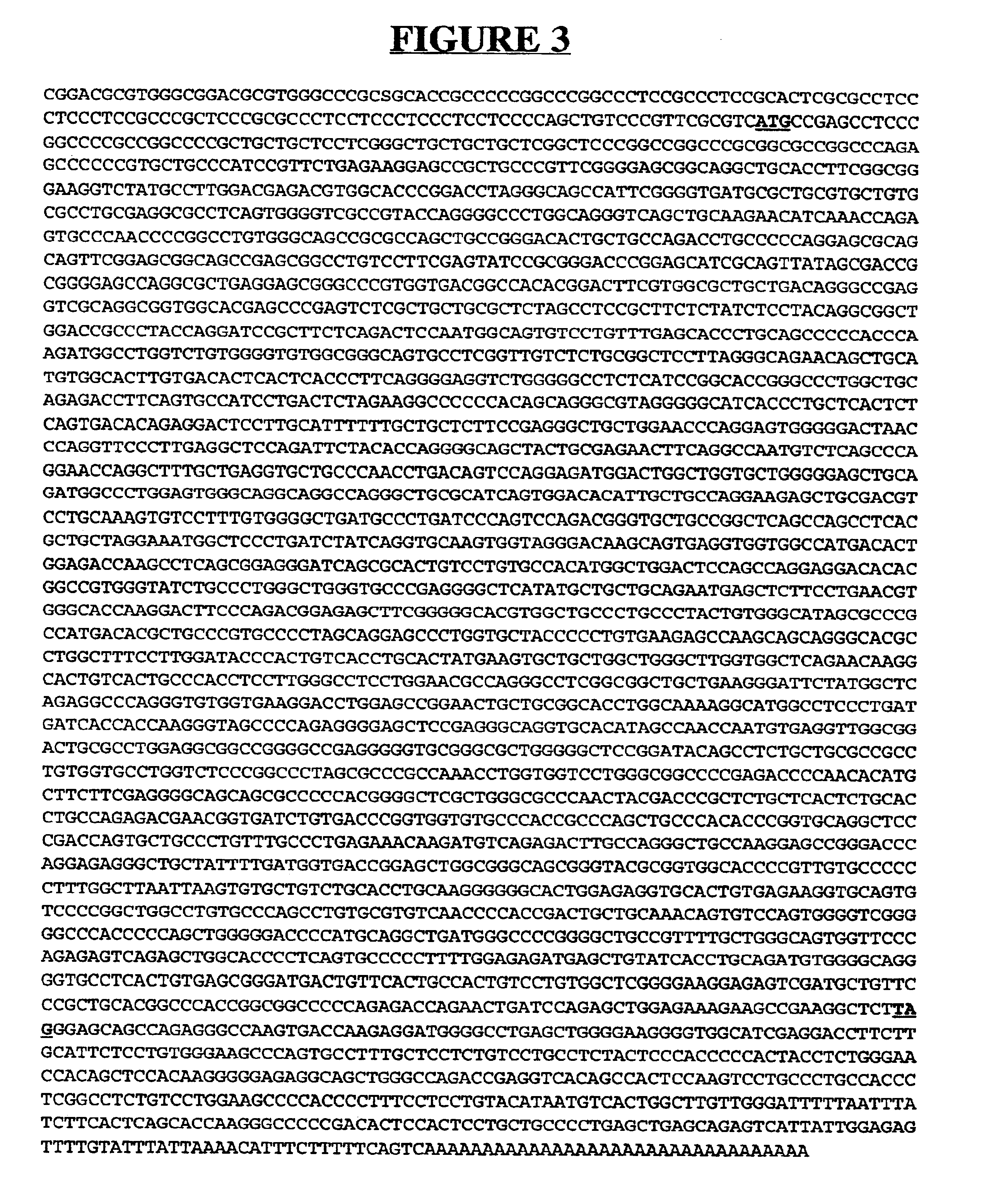 Secreted and transmembrane polypeptides and nucleic acids encoding the same