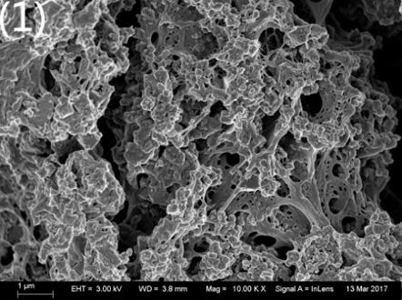 Preparation method of electromagnetic-driven hydrogel antifouling coating layer material