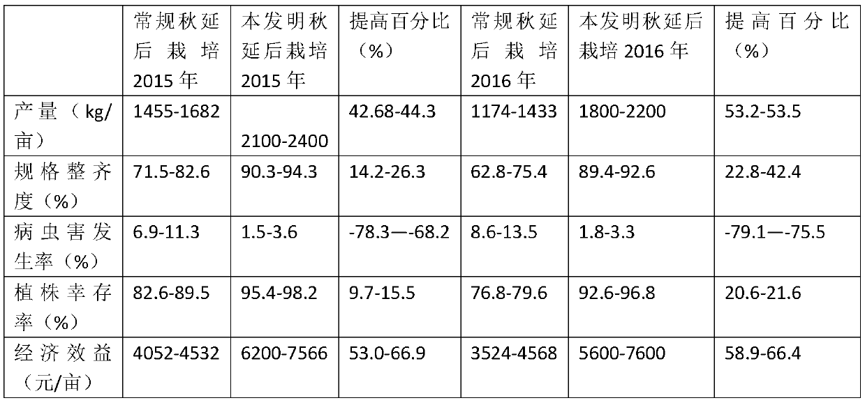 A kind of high-efficiency pepper cultivation method after autumn delay