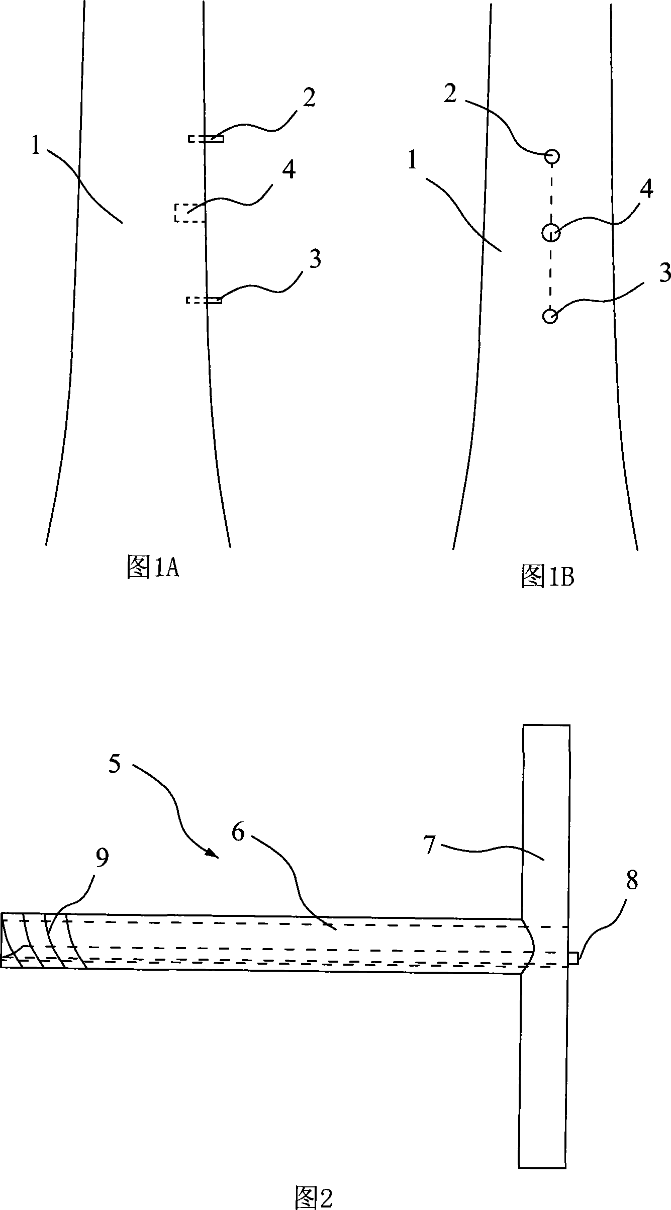 Method for detecting live stumpage strength nondestructively