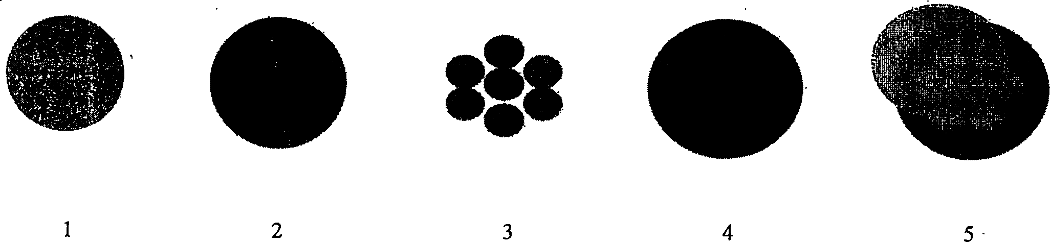 Microfluid biological sensor chip device and its application