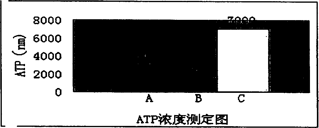 Microfluid biological sensor chip device and its application