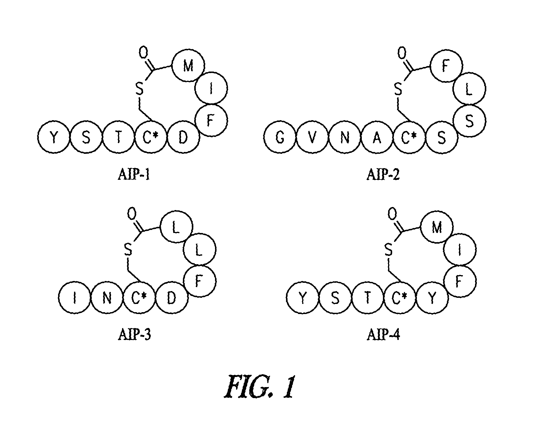 Antibody-mediated disruption of quorum sensing in bacteria