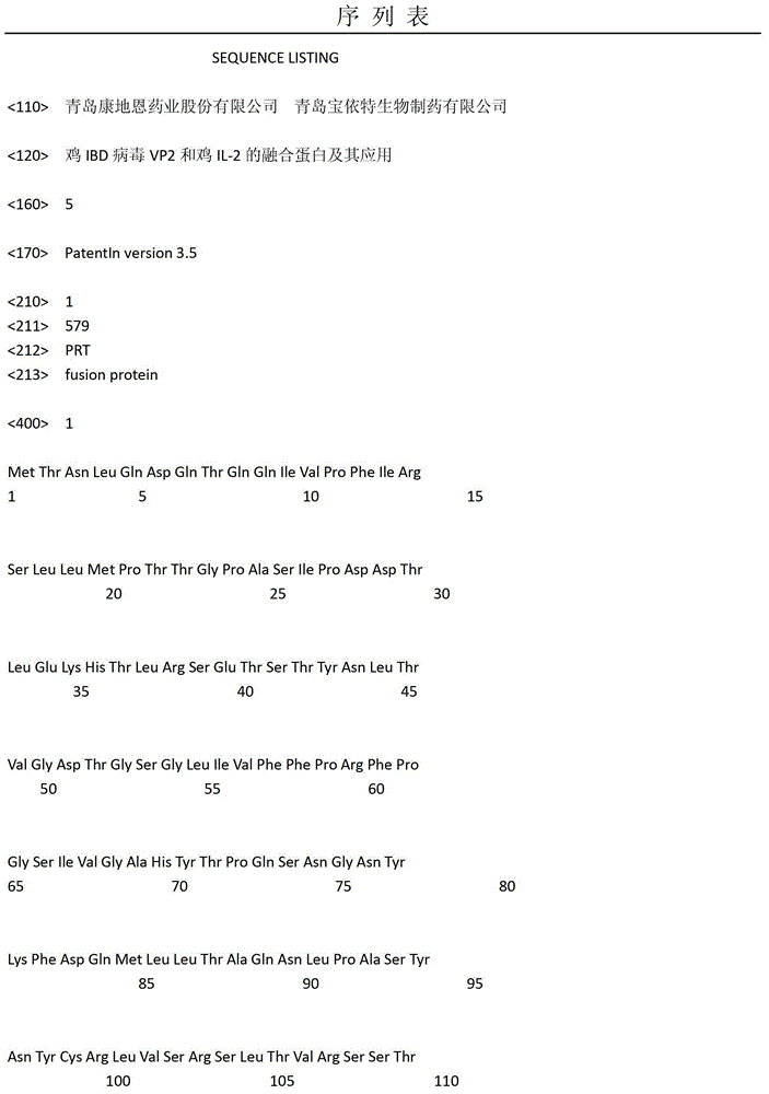 Fusion protein of IBD (Infectious Bursal Disease) VP2 and IL (Interleukin)-2 and application thereof