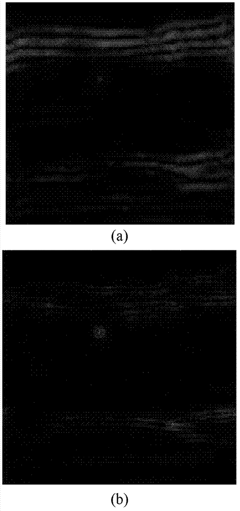 Infrared dim-small target detection method based on shear wave conversion