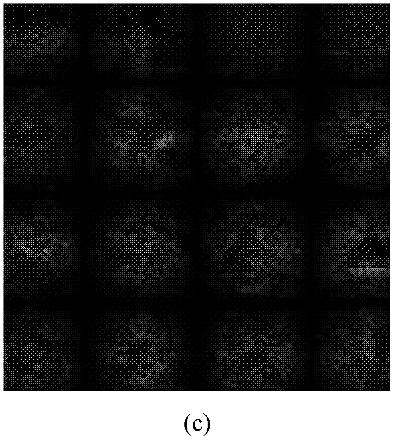 Infrared dim-small target detection method based on shear wave conversion