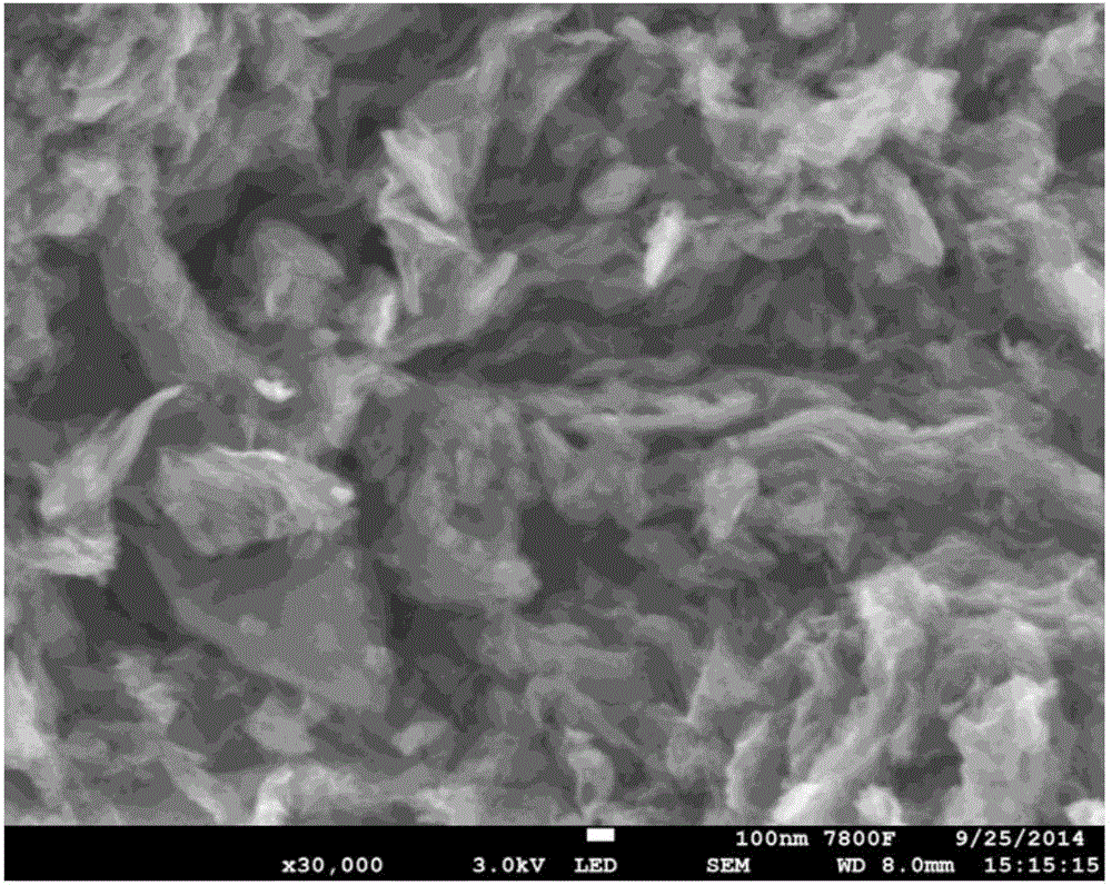 Non-noble metal catalyst for oxygen reduction, and preparation and application of catalyst