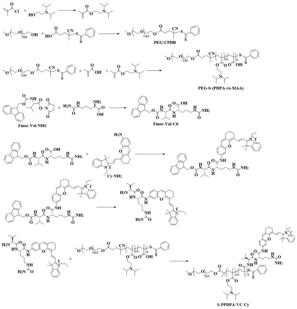 A kind of double lock type polymer and its preparation method and application