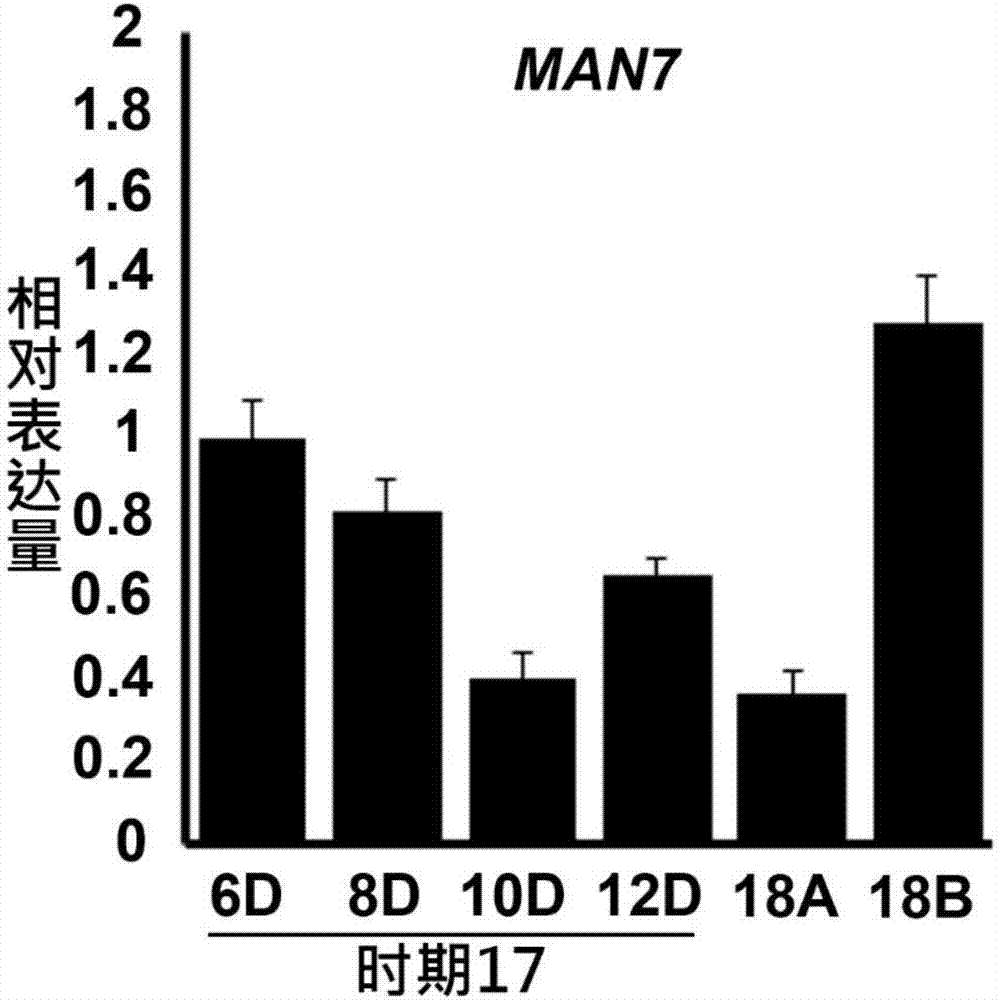 Hemicellulase, and coding gene and application thereof