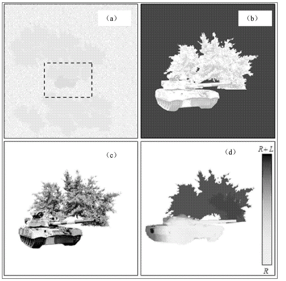 Remote six-dimensional night viewing method