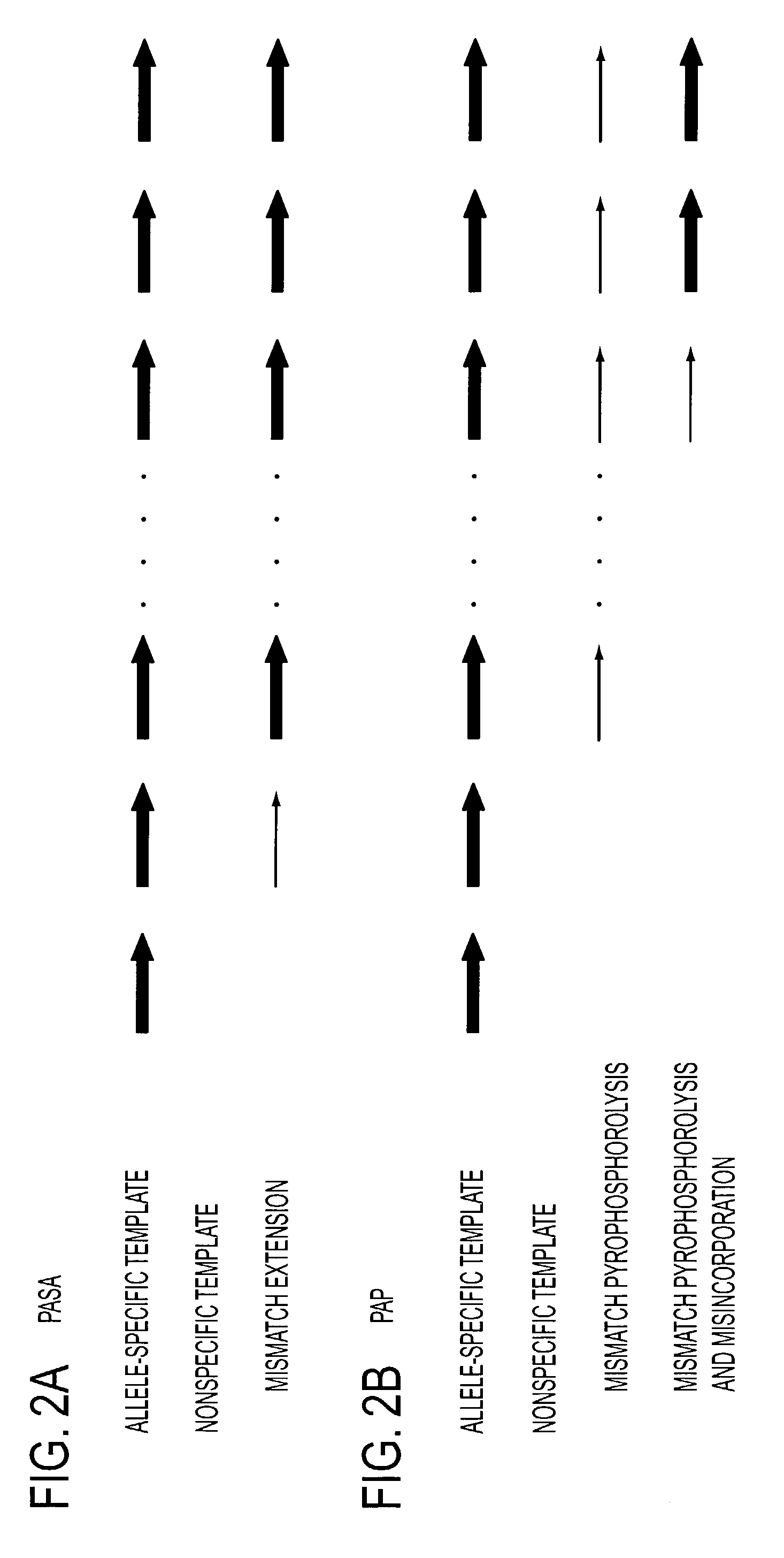 Serial coupling of restriction cleavage and extension for nucleic acid amplification