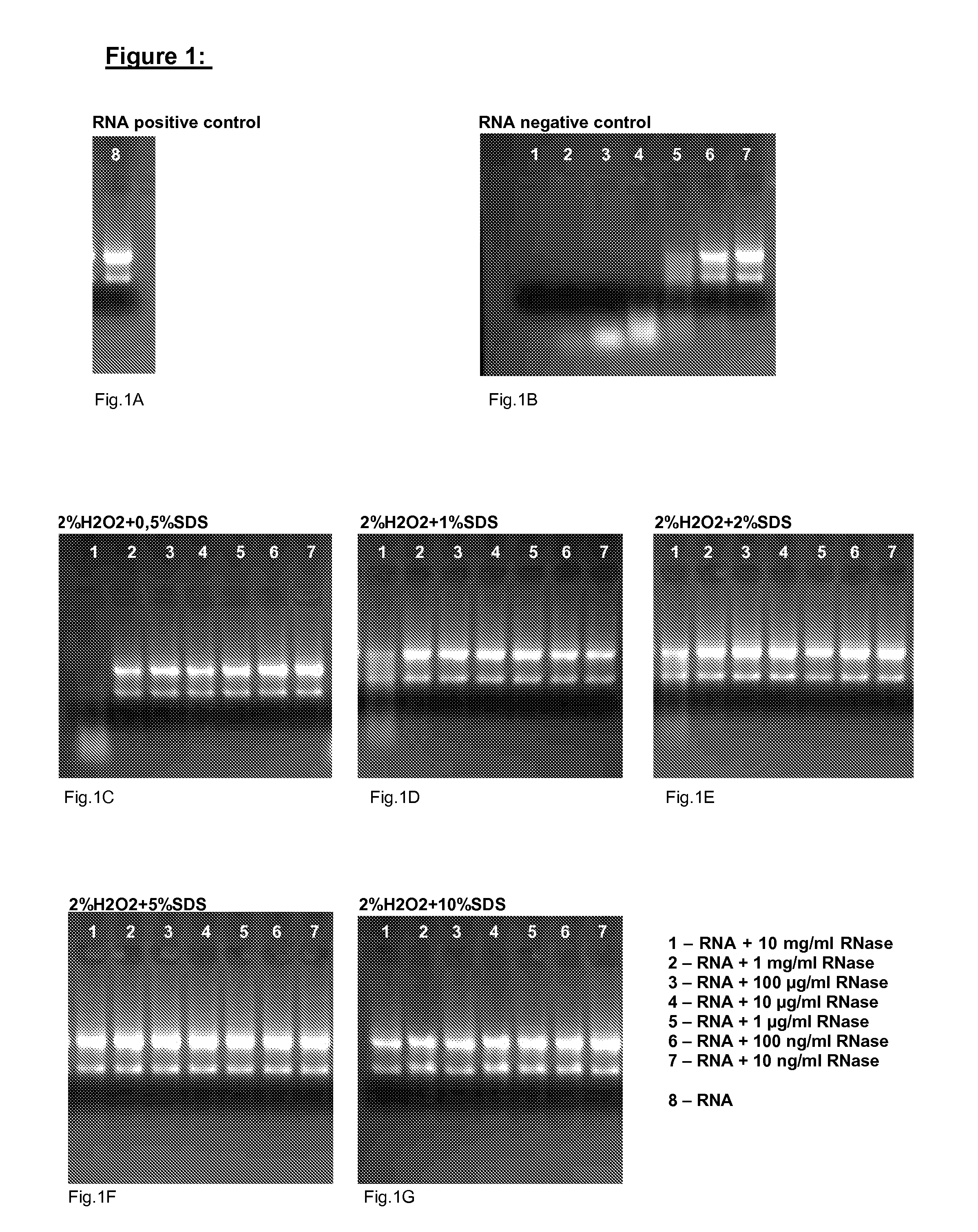 Permanent inactivation of nucleases