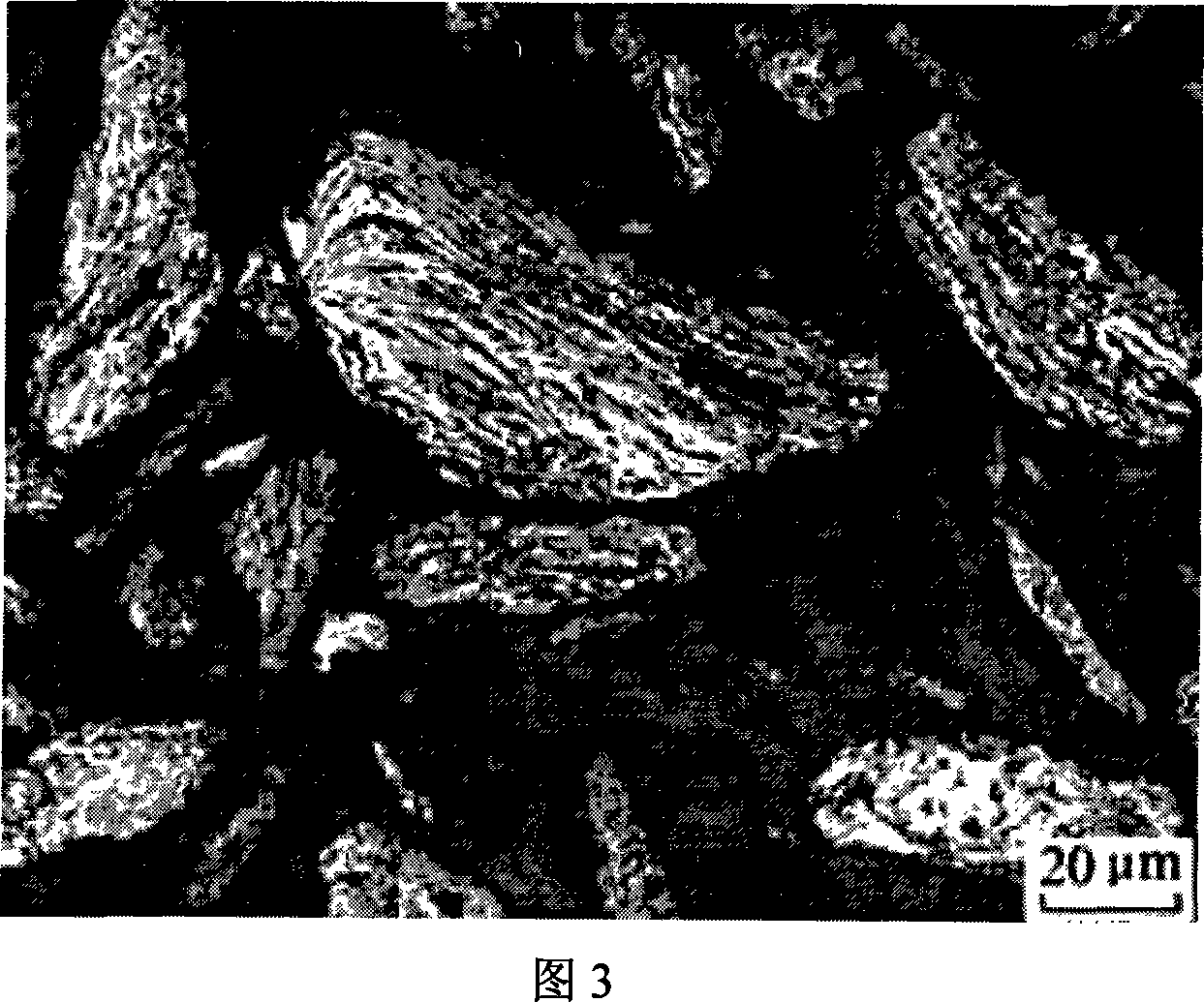 Method for preparing compound coat between metals