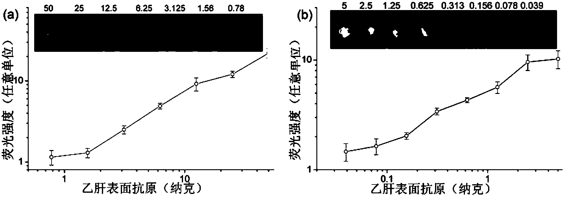 Preparation method of signal amplifying type quantum dot immune fluorescent probe and application of signal amplifying quantum dot immune fluorescent probe