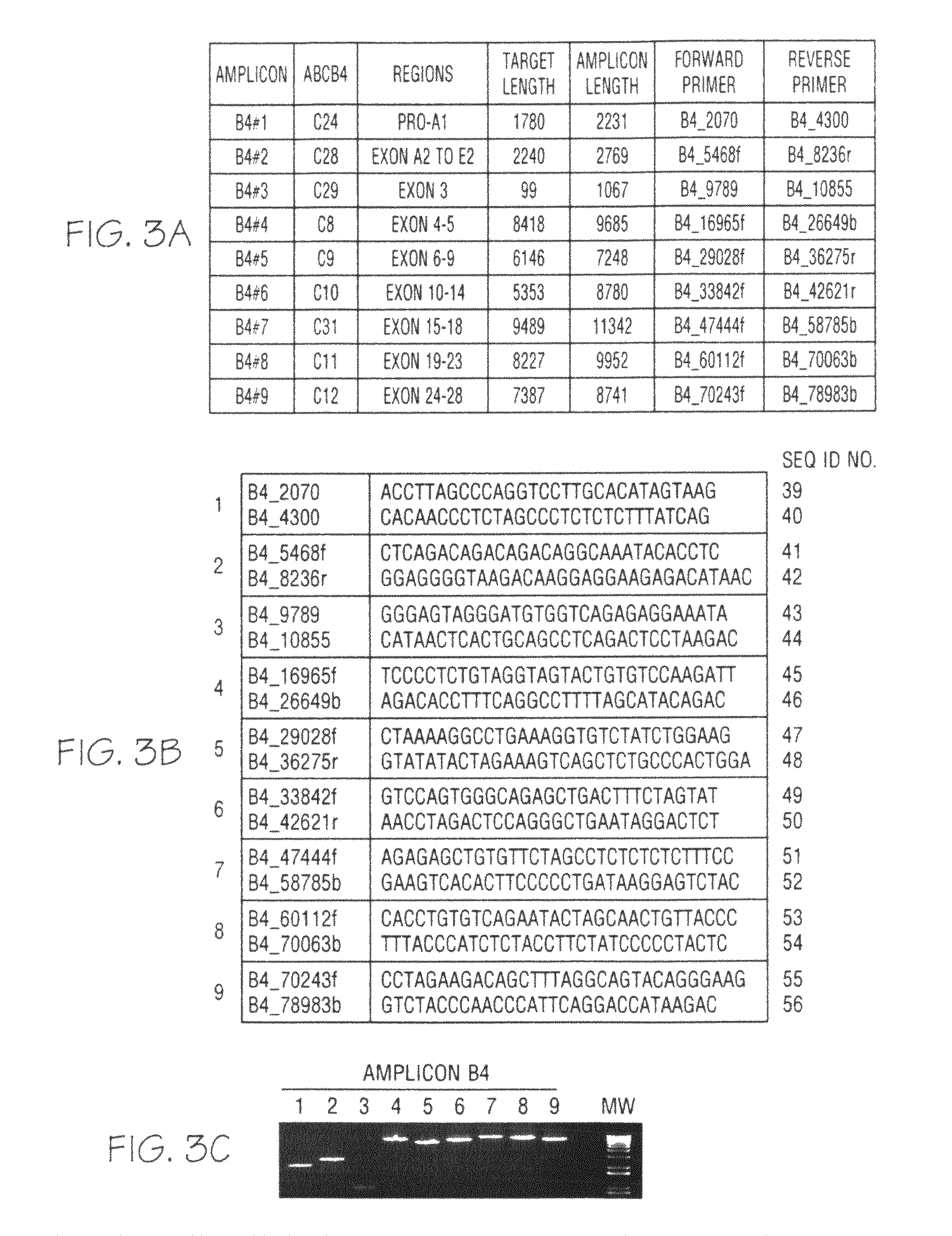 Classification and diagnosis of the molecular basis of cholestasis