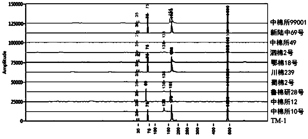 Primer set used for identifying conventional cotton CRI99001, product of primer set and detection method