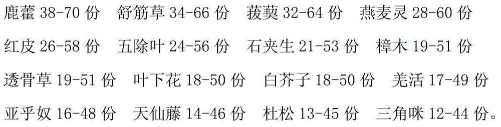 Traditional Chinese medicine preparation for treating rheumatic arthritis and preparation method thereof