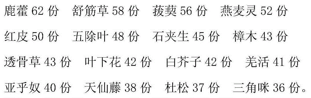 Traditional Chinese medicine preparation for treating rheumatic arthritis and preparation method thereof