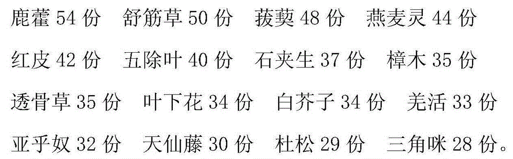 Traditional Chinese medicine preparation for treating rheumatic arthritis and preparation method thereof