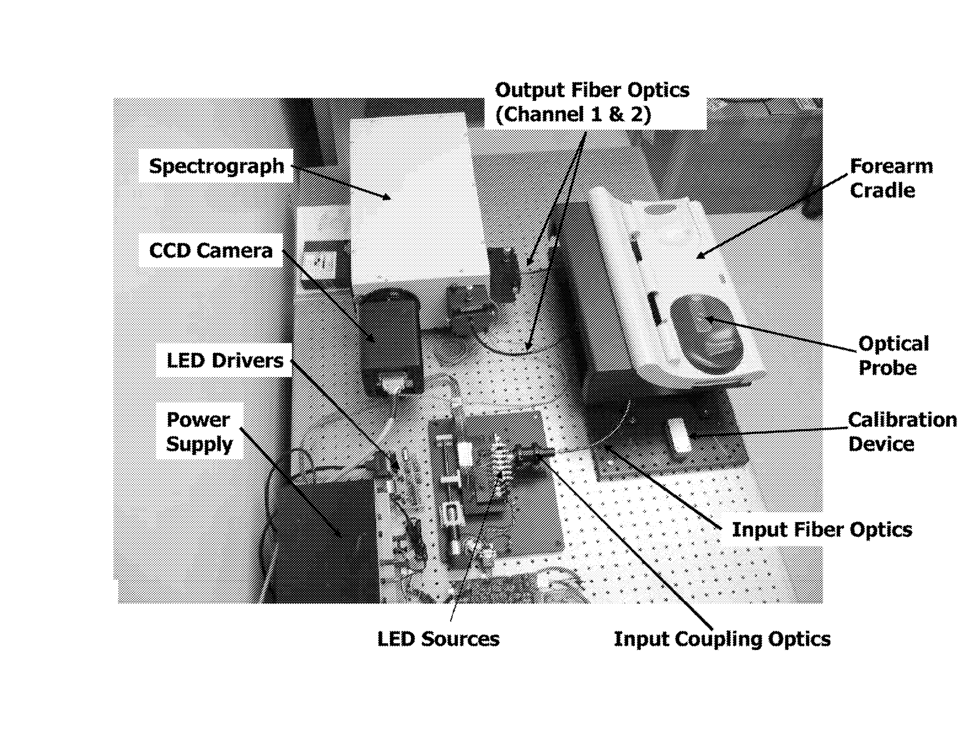 Determination of a Measure of a Glycation End-Product or Disease State Using a Flexible Probe to Determine Tissue Fluorescence of Various Sites