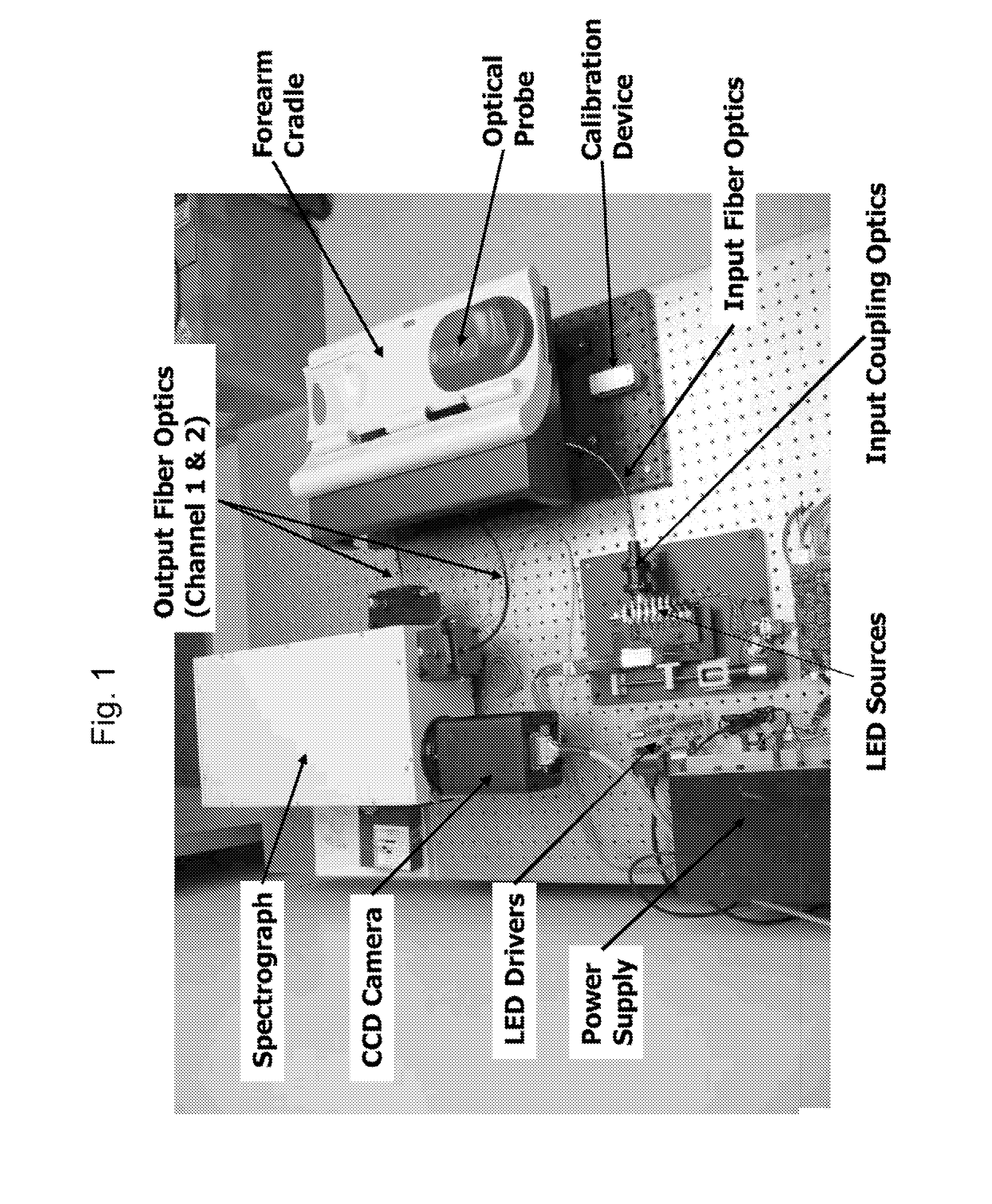 Determination of a Measure of a Glycation End-Product or Disease State Using a Flexible Probe to Determine Tissue Fluorescence of Various Sites