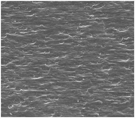 Preparation of Double-sided Photoelectrolytic Copper Foil for Special Lithium Batteries