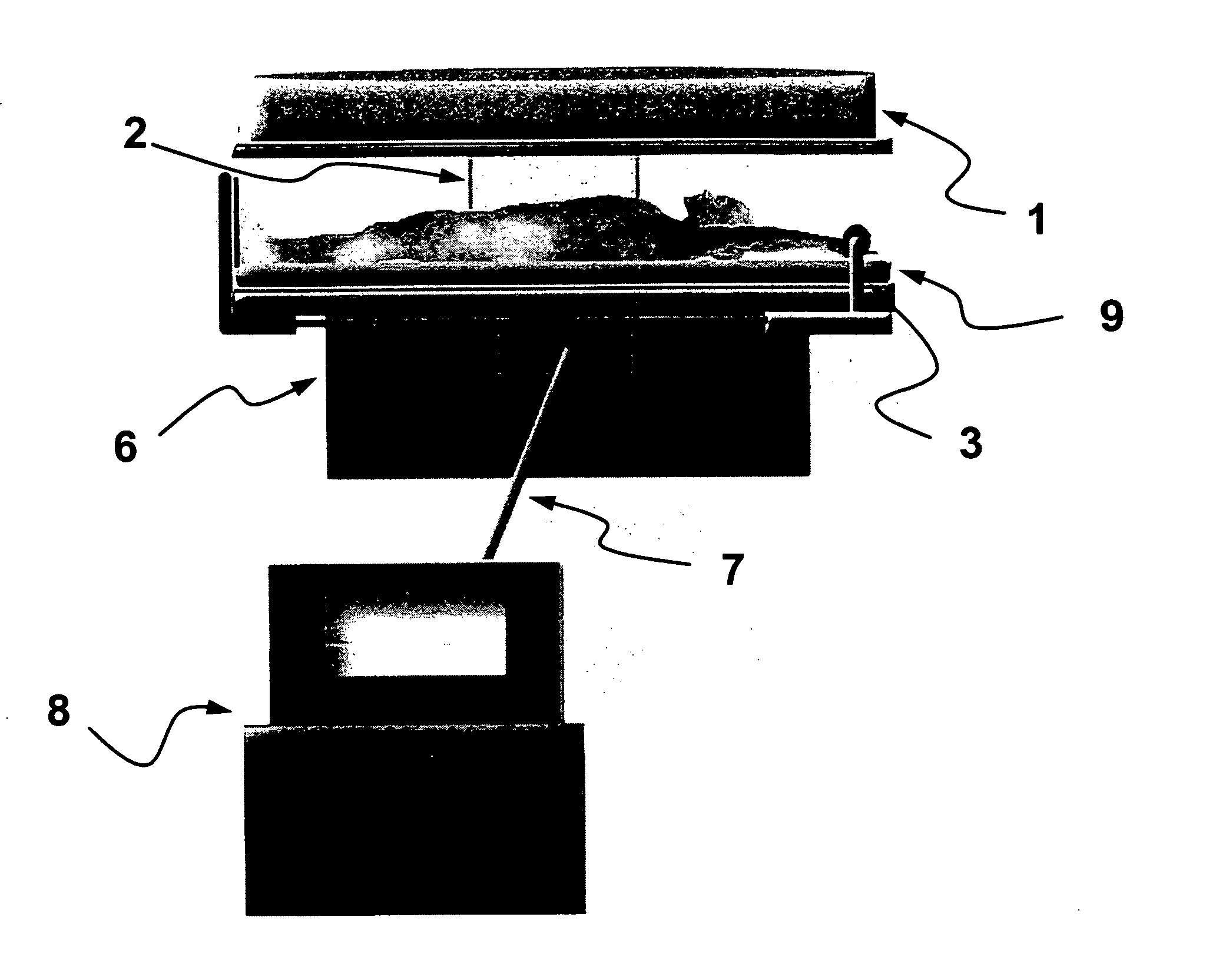 Electroimmunization chamber