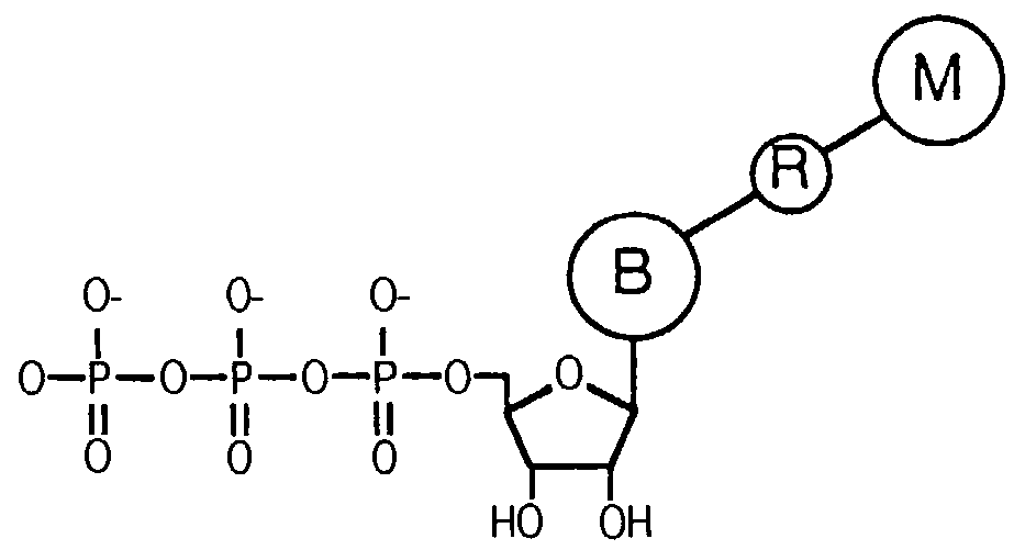 Releasable nonvolatile mass-label molecules