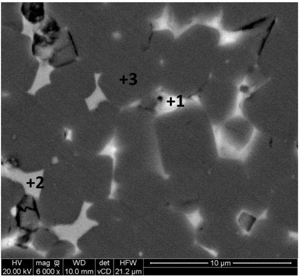 Rare earth permanent magnetic material and preparation method thereof