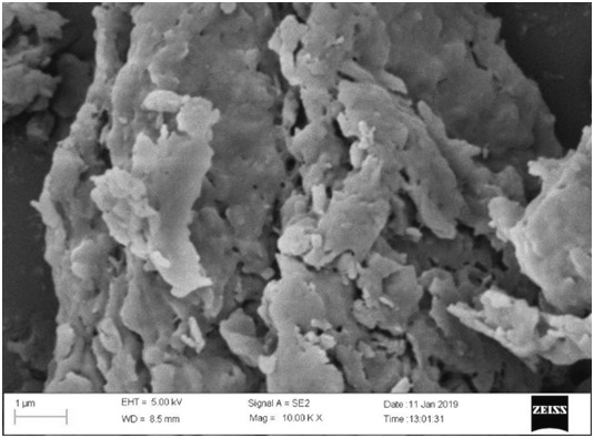 Compound microbial remediation agent for cadmium-contaminated soil and technical method for remediation while production