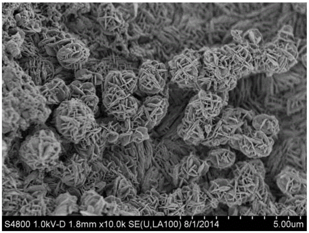 Catalyst for directly dehydrogenating propane to prepare propylene as well as preparation and application of catalyst