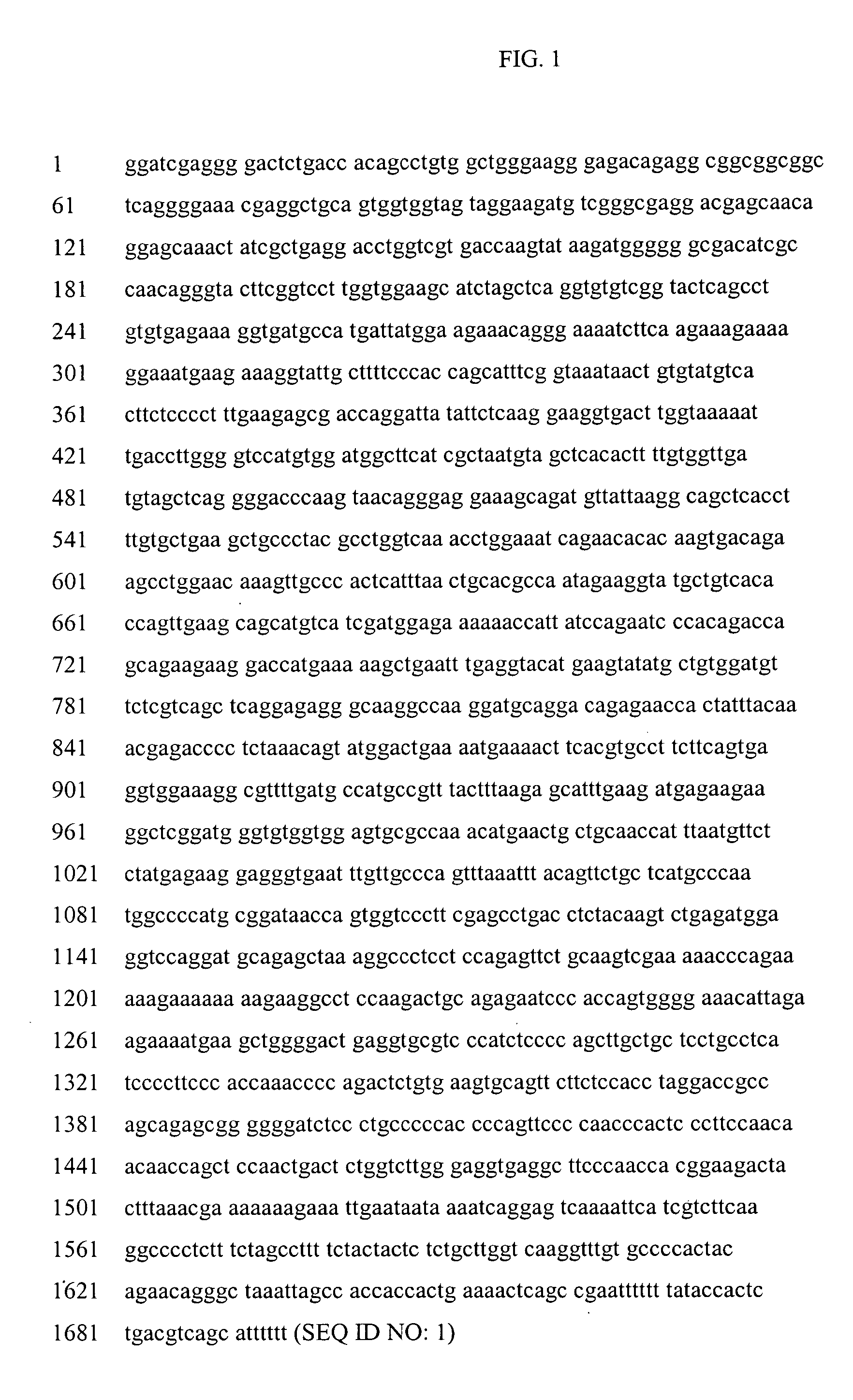 ErbB3 binding protein compositions and methods of use