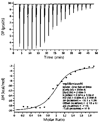 A kind of acid/alkali dual stimulus responsive nano container and its preparation method