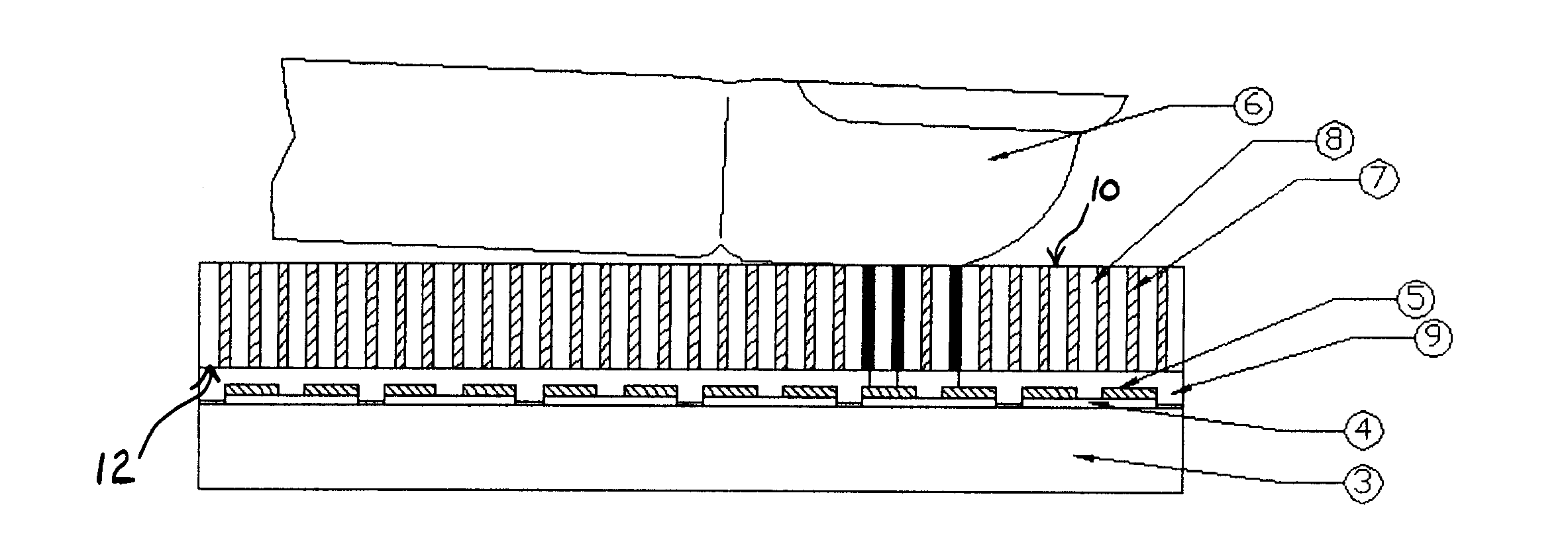 Biometric Scanner Having A Protective Conductive Array