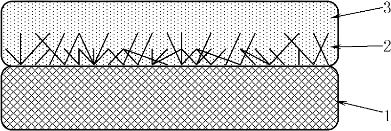 Polycrystalline silicon thin film and method for preparing polycrystalline silicon thin film by amorphous silicon low-temperature induction