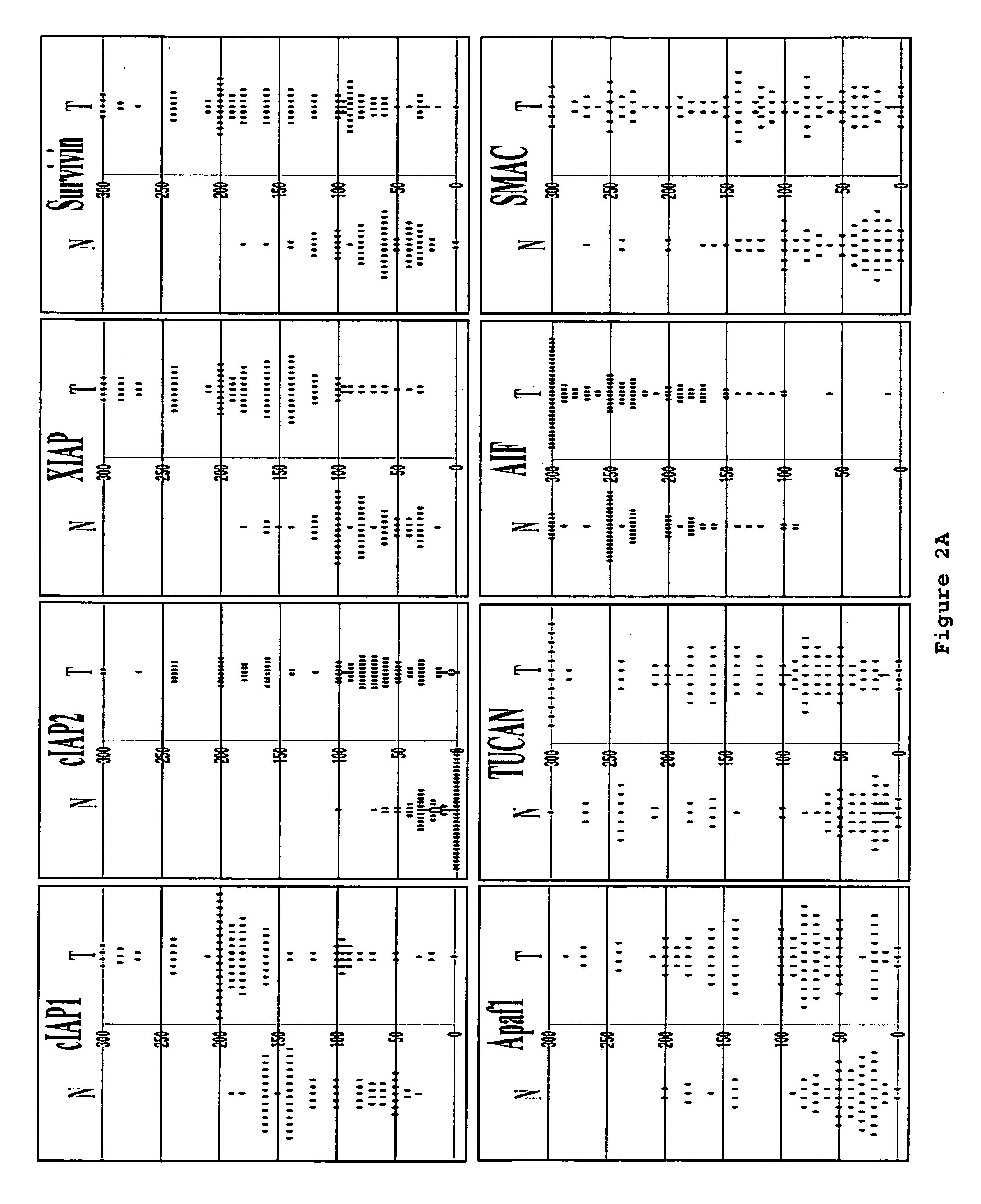 Methods for determining the prognosis for cancer patients using TUCAN