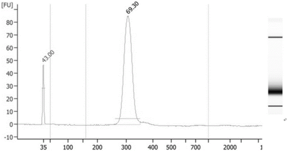 Noninvasive biopsy virus detection method based on high throughput gene sequencing and tagged connector