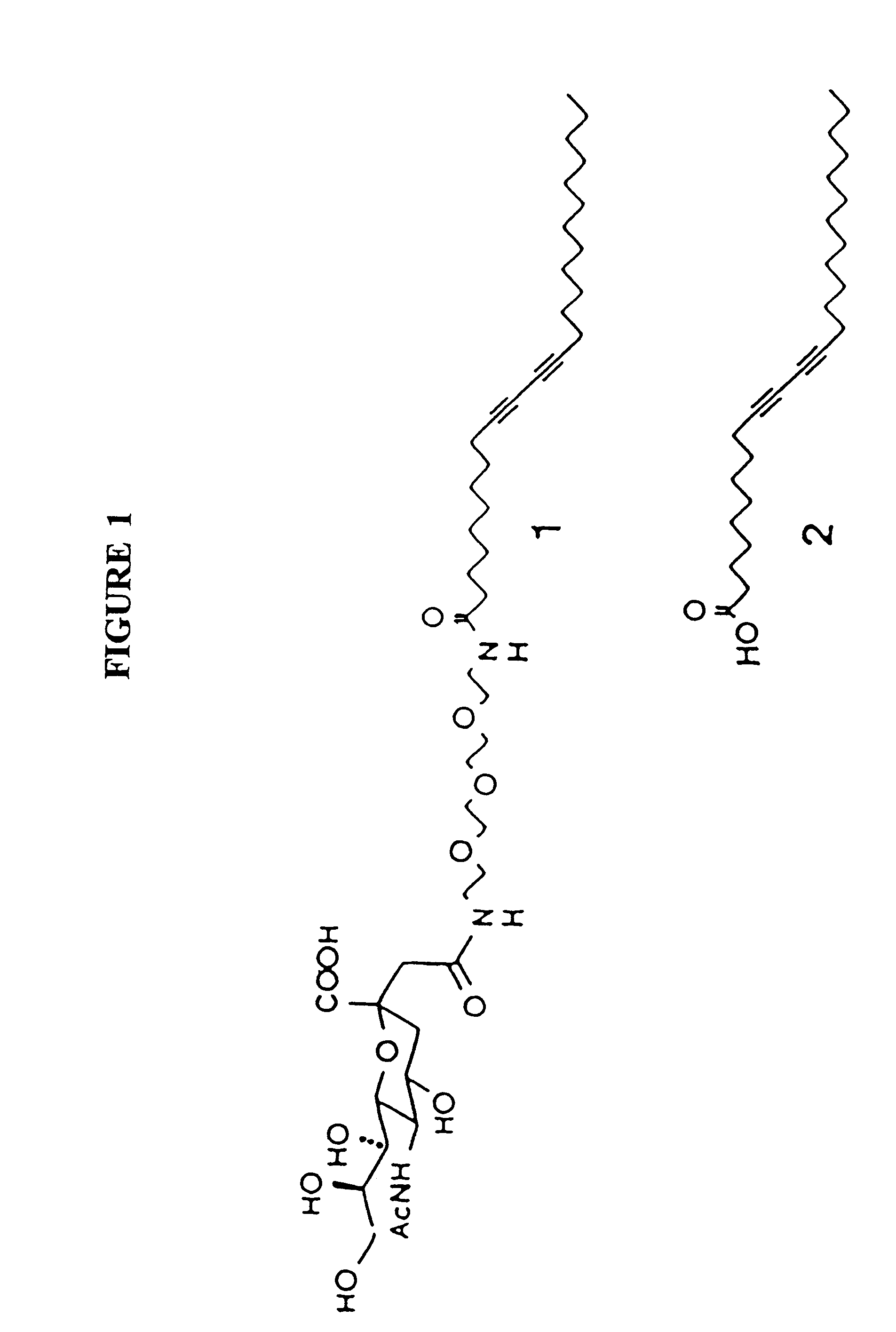 Sol-gel matrices for direct colorimetric detection of analytes