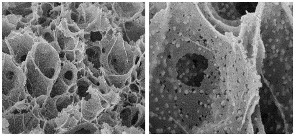 Preparation method and application of a calcium-magnesium double active center catalyst