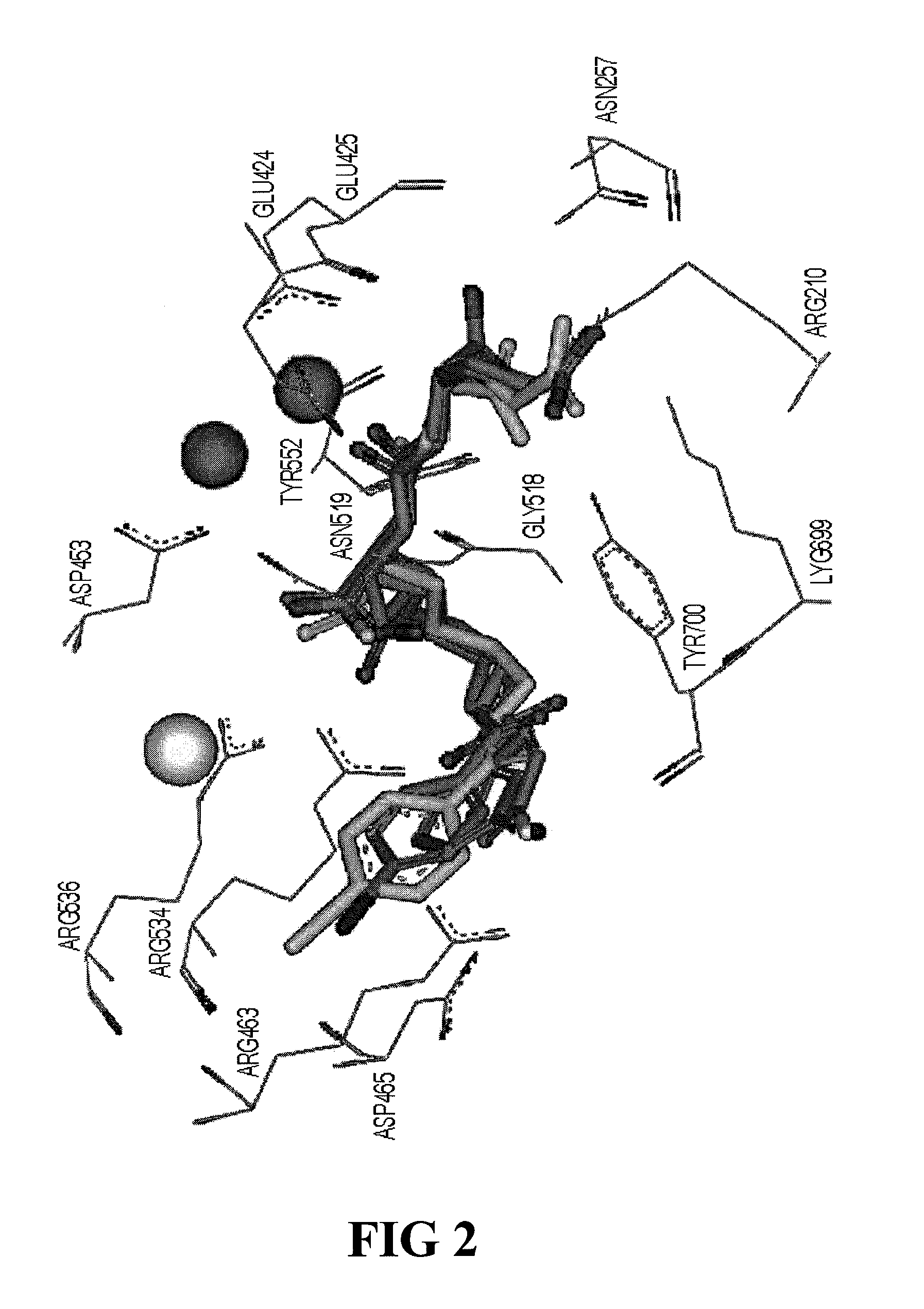 PSMA-binding agents and uses thereof