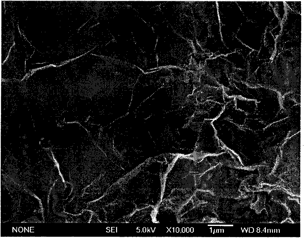 Nano-graphite alkenyl composite wave-absorbing material and method of preparing the same