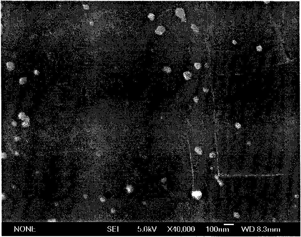 Nano-graphite alkenyl composite wave-absorbing material and method of preparing the same