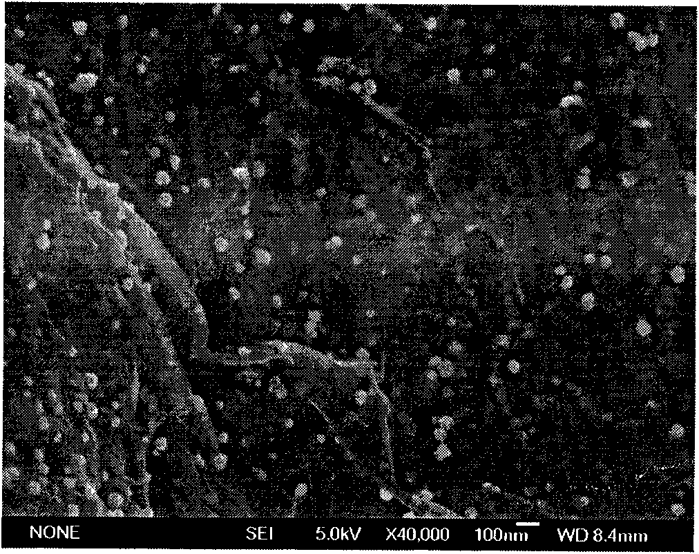 Nano-graphite alkenyl composite wave-absorbing material and method of preparing the same