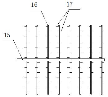 Heat recovery steam generator flue gas denitration apparatus