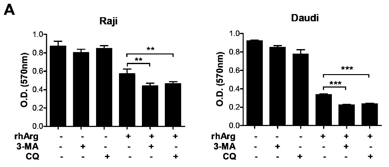 Anti-tumor synergic medicine