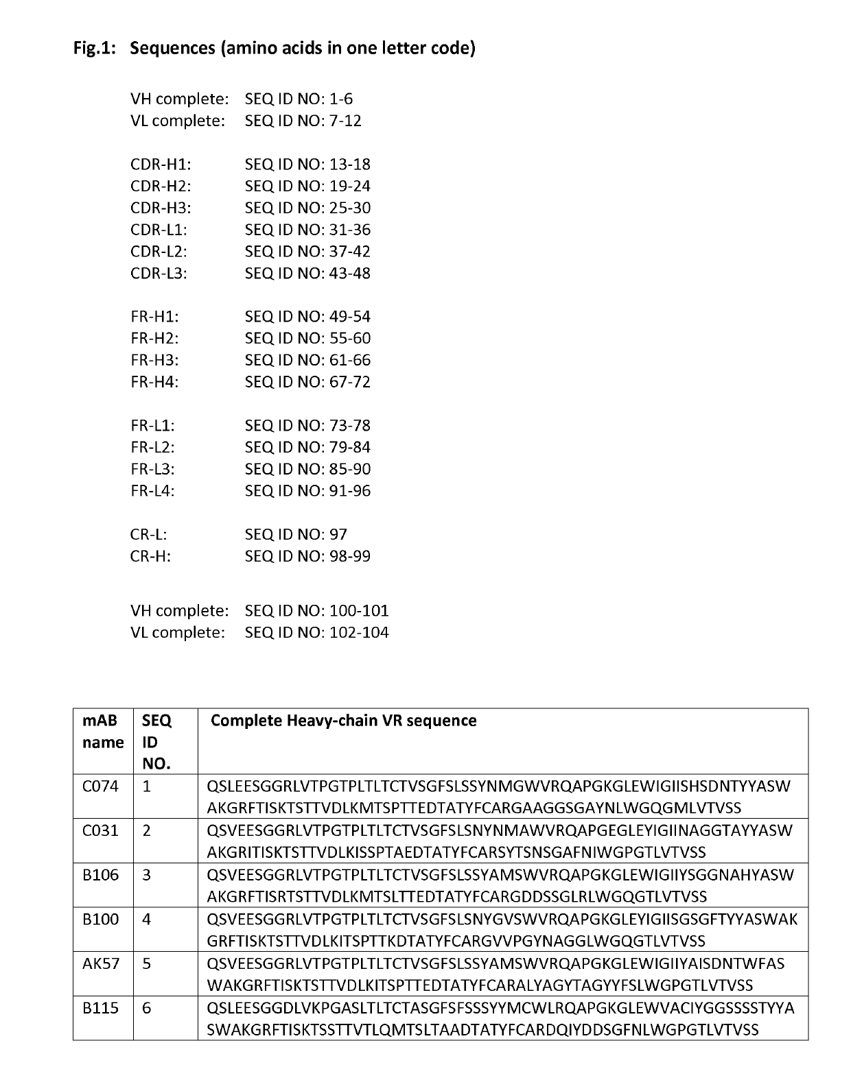 HER-2 Binding Antibodies