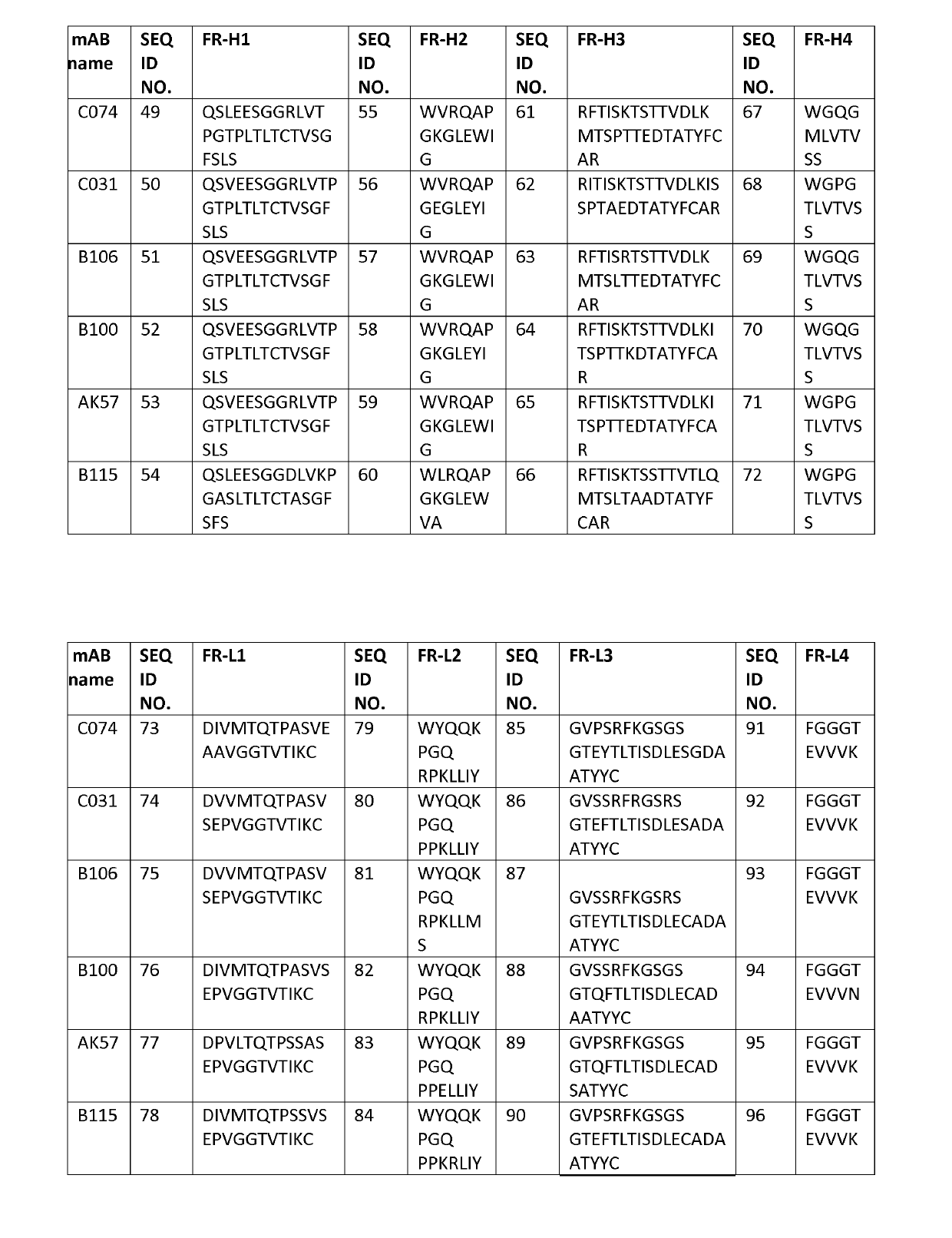 HER-2 Binding Antibodies