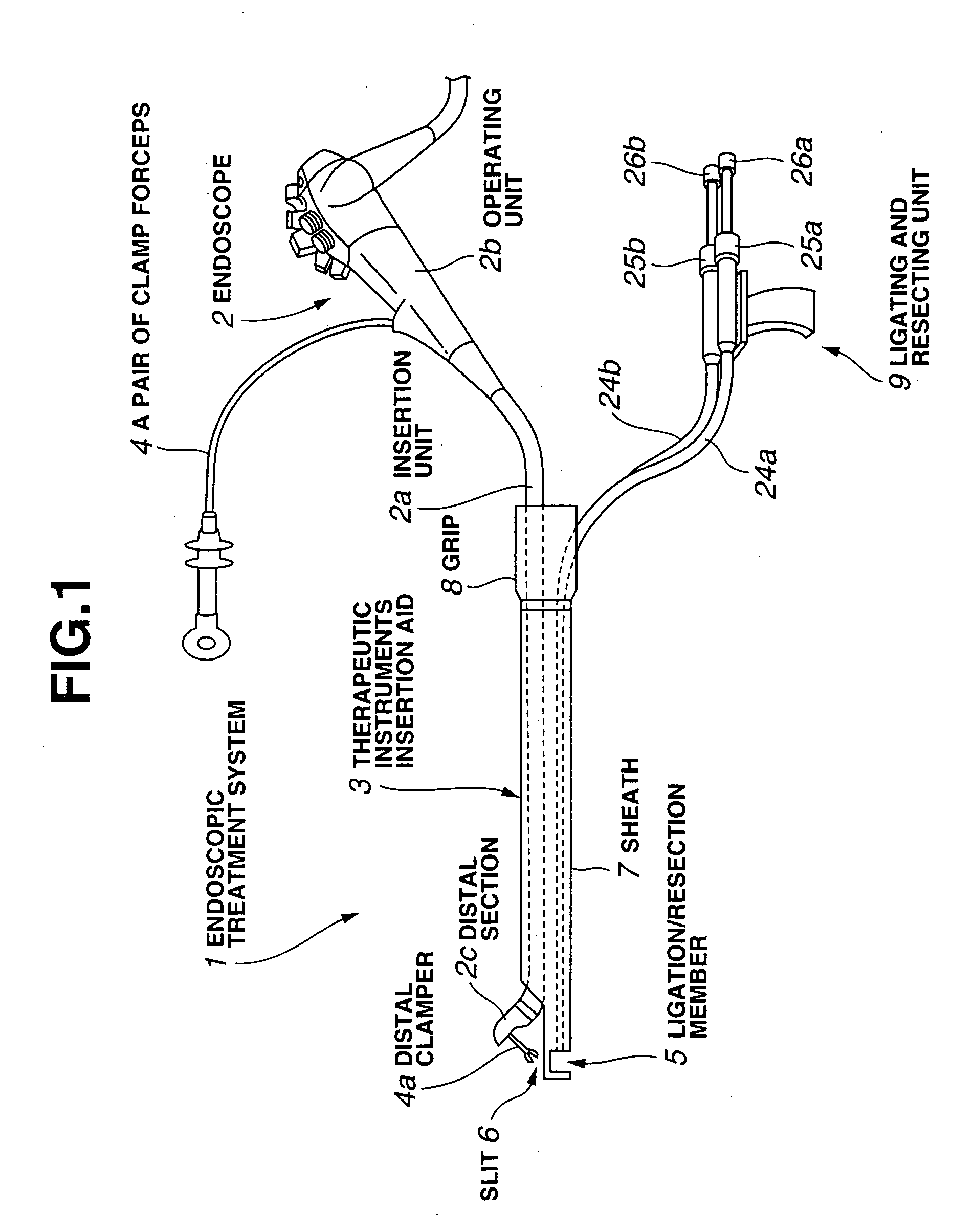 Endoscopic treatment system